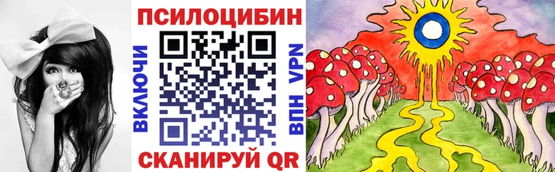 Купить  Верхнеуральск  Псилоцибиновые грибы Psilocybe 
